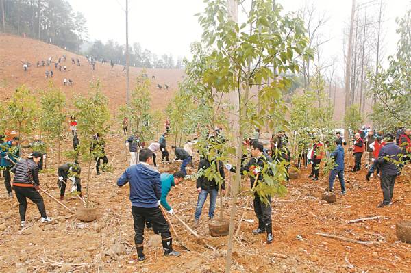 1741746435981966.jpg 1 (1).jpg