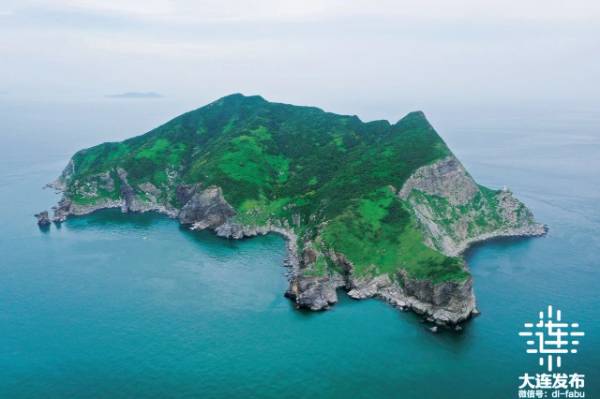 1741834034514381.jpg 3.jpg