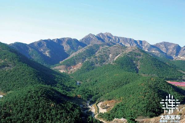 1741834046368159.jpg 4.jpg