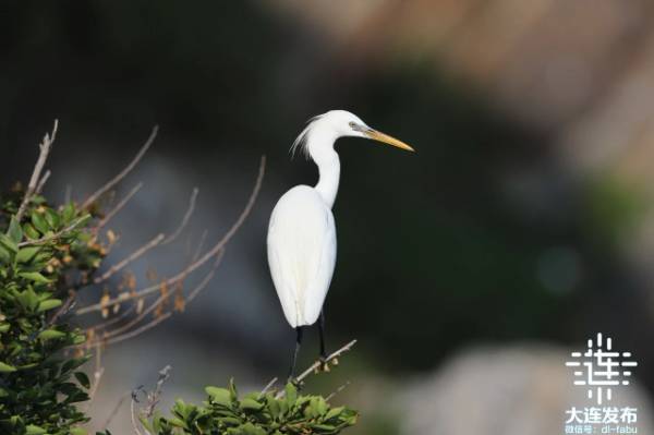 1741834060365273.jpg 6.jpg