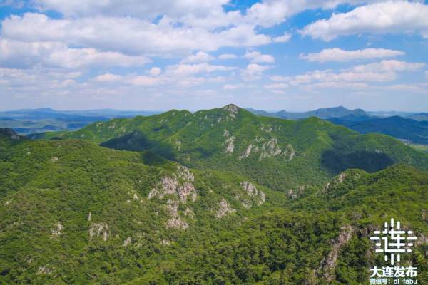 1741834077865465.jpg 7.jpg