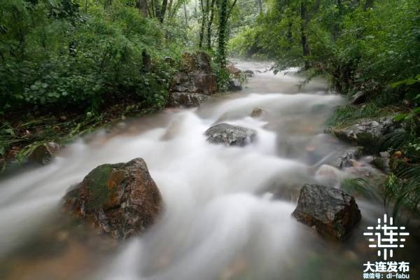 1741834081482019.jpg 8.jpg