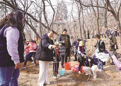 1741836590348325.jpg 1741836590348325.jpg