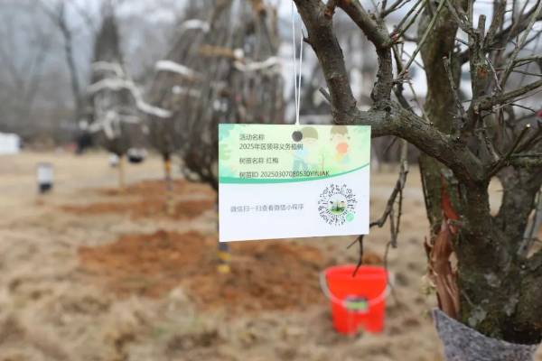 1741848425281364.jpg 8 (1).jpg