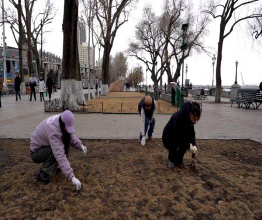 1741916311412798.png 1741916311412798.png