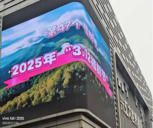 1741916428533366.png 1741916428533366.png