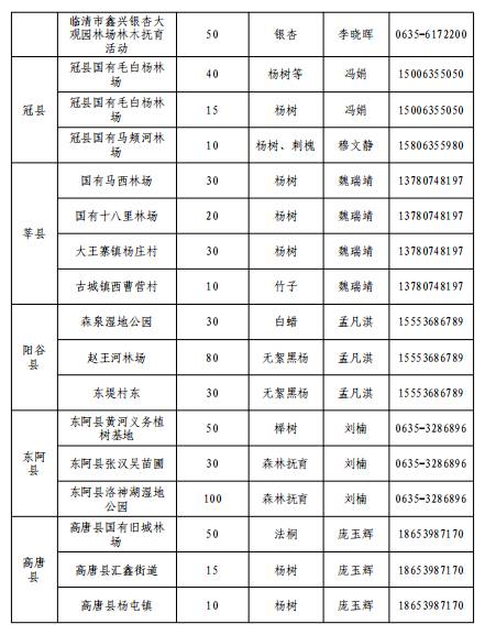 1741918886739510.jpg 10 (1).jpg