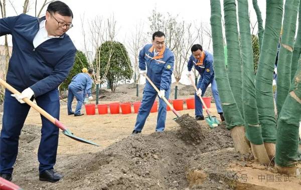 1741922258574179.jpg 1.jpg