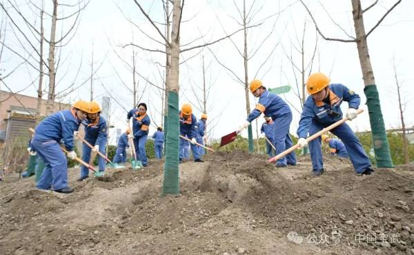 1741922267486985.jpg 2.jpg