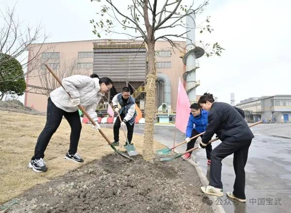 1741922275911991.jpg 4.jpg