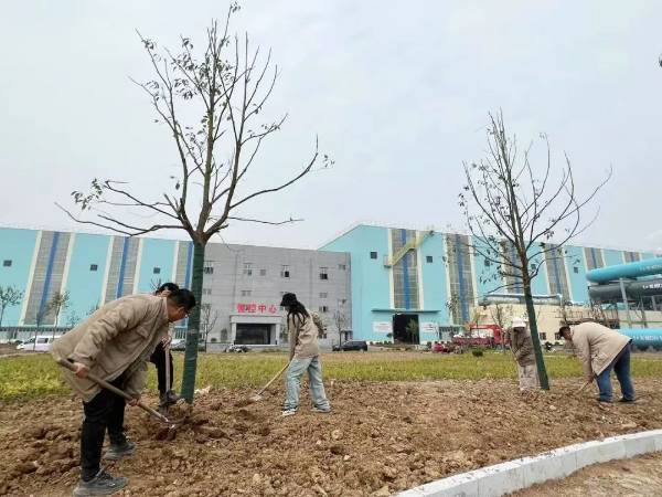 1741935511970233.jpg 8.jpg