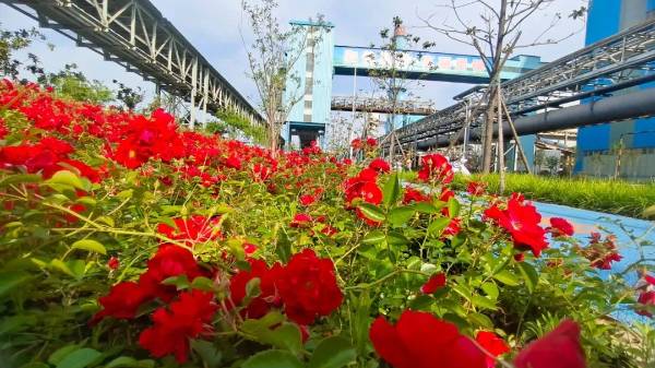 1741935521998563.jpg 9.jpg