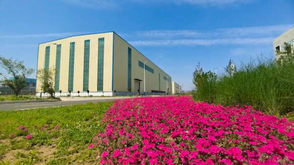 1741935540173747.jpg 10.jpg