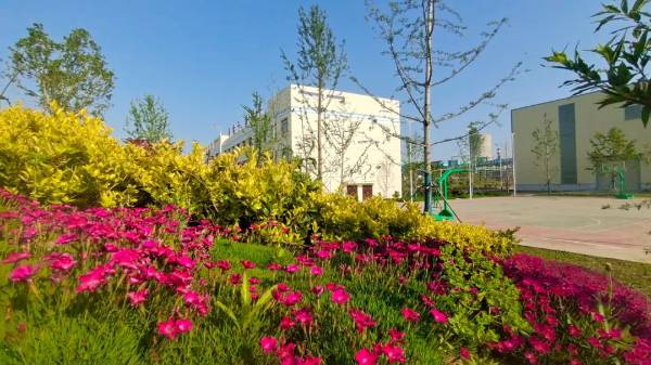 1741935549409149.jpg 11.jpg