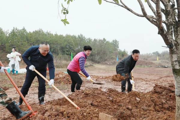 1741938252591362.jpg 1.jpg