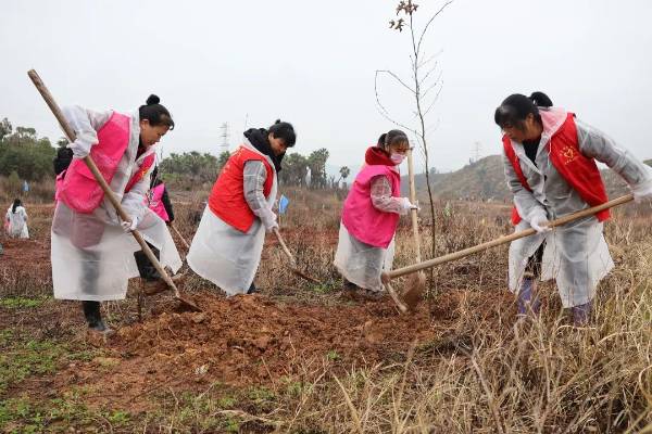 1741938268373908.jpg 2.jpg