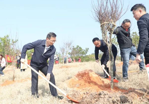 1741938691288553.jpg 5.jpg