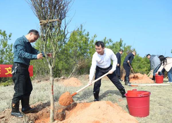 1741938703257838.jpg 6.jpg