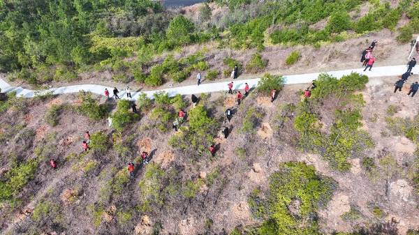 1741938723232405.jpg 7.jpg