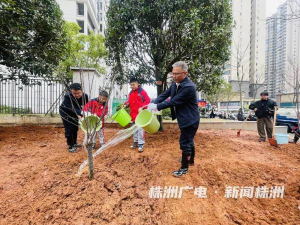 1742175171238117.jpg 6.jpg