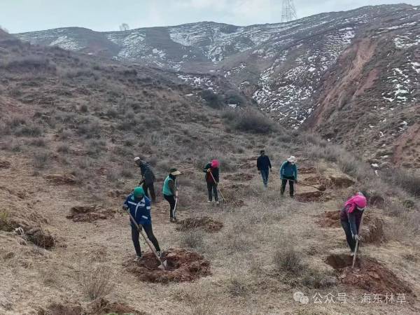 1742176454803596.jpg 1 (1).jpg