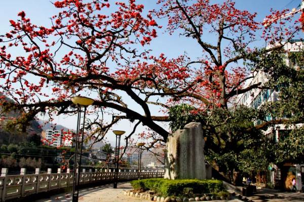 1742176790987878.jpg 1.jpg