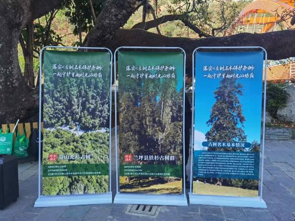 1742176796178631.jpg 2.jpg