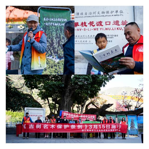 1742176802120215.png 3.png