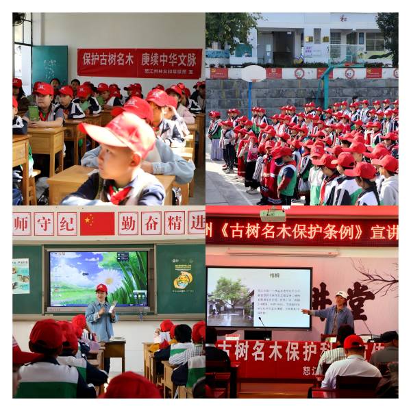 1742176811241613.png 4.png