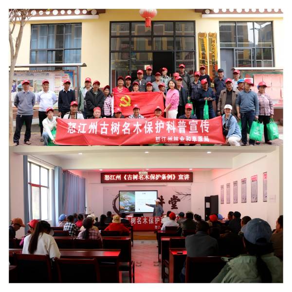 1742176820964269.png 5.png