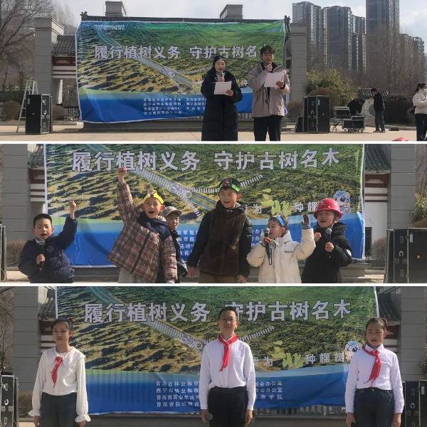 1742177570264748.jpg 1 (1).jpg