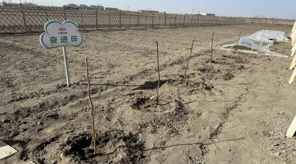 1742188468777611.png 4.png