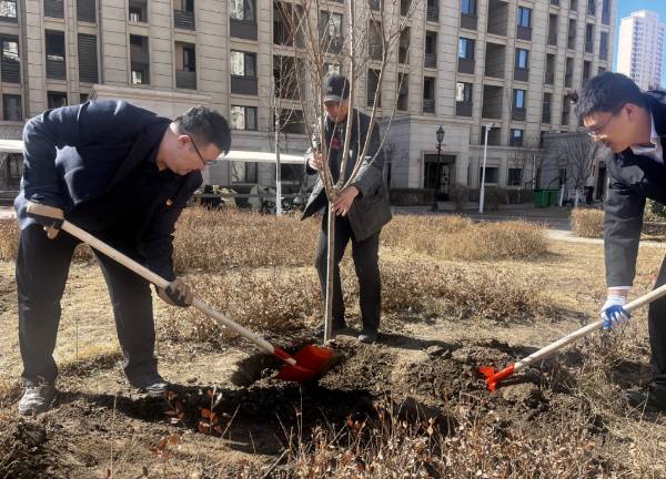 1742188492383185.png 6.png