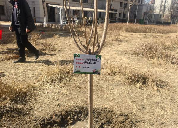 1742188496428127.png 7.png