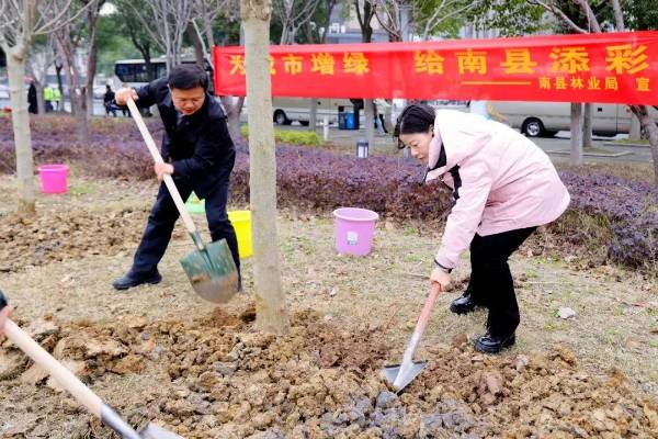 1742190643647598.jpg 4.jpg