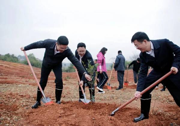 1742190664489077.jpg 6.jpg