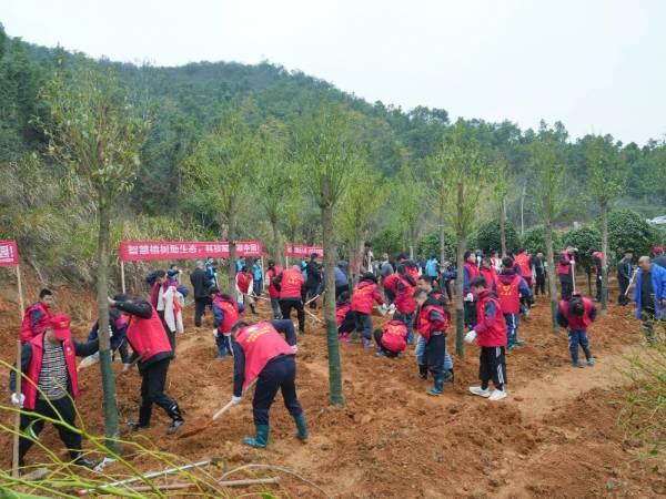 1742190677189501.jpg 7.jpg