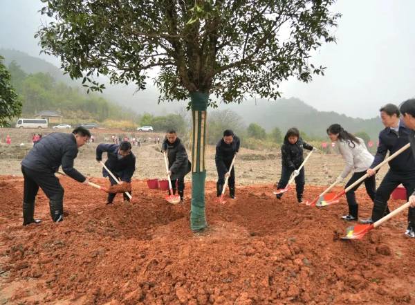 1742190942120042.jpg 1.jpg