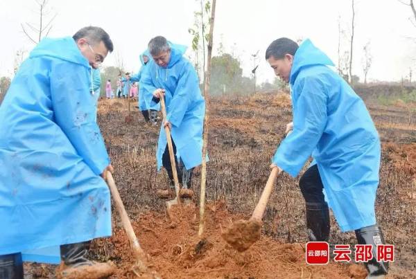 1742190951843631.jpg 2.jpg