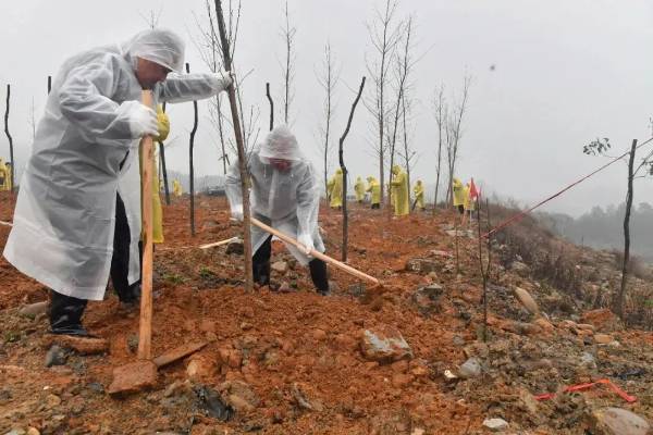 1742190962554117.jpg 3.jpg