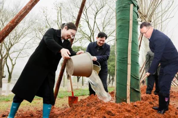 1742190972540979.jpg 4.jpg