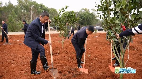 1742190980516785.jpg 5.jpg