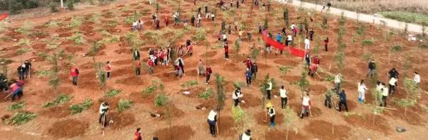 1742190992750493.jpg 6.jpg