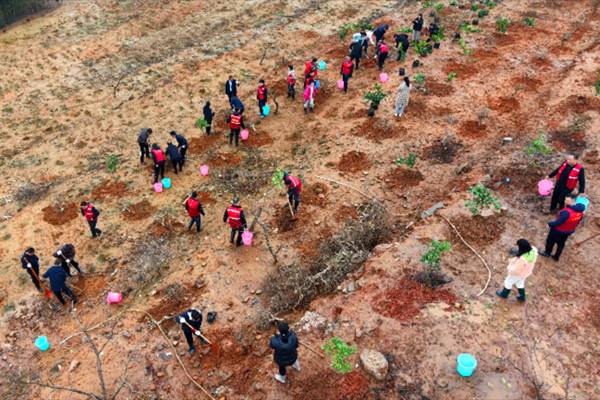 1742191000919547.png 7.png