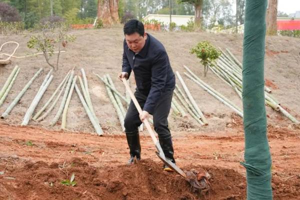 1742191021781689.jpg 9.jpg