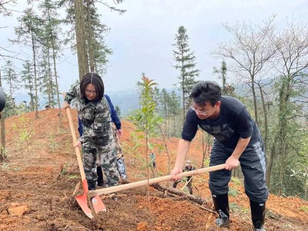 1742191056314223.jpg 11.jpg