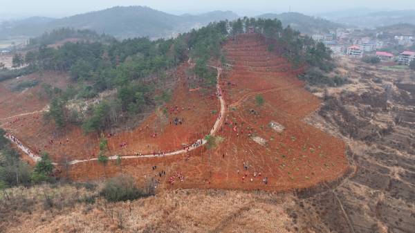 1742191064729502.png 12.png