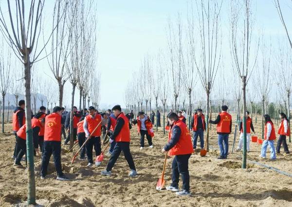 1742191406572620.jpg 1 (1).jpg