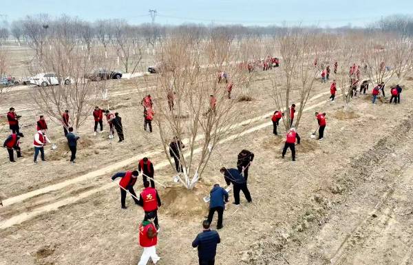 1742191413709178.jpg 2 (1).jpg