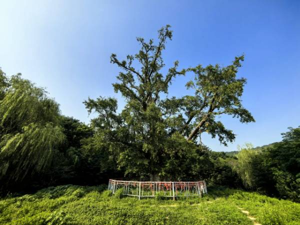 1742192374854345.png 1.png